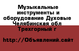 Музыкальные инструменты и оборудование Духовые. Челябинская обл.,Трехгорный г.